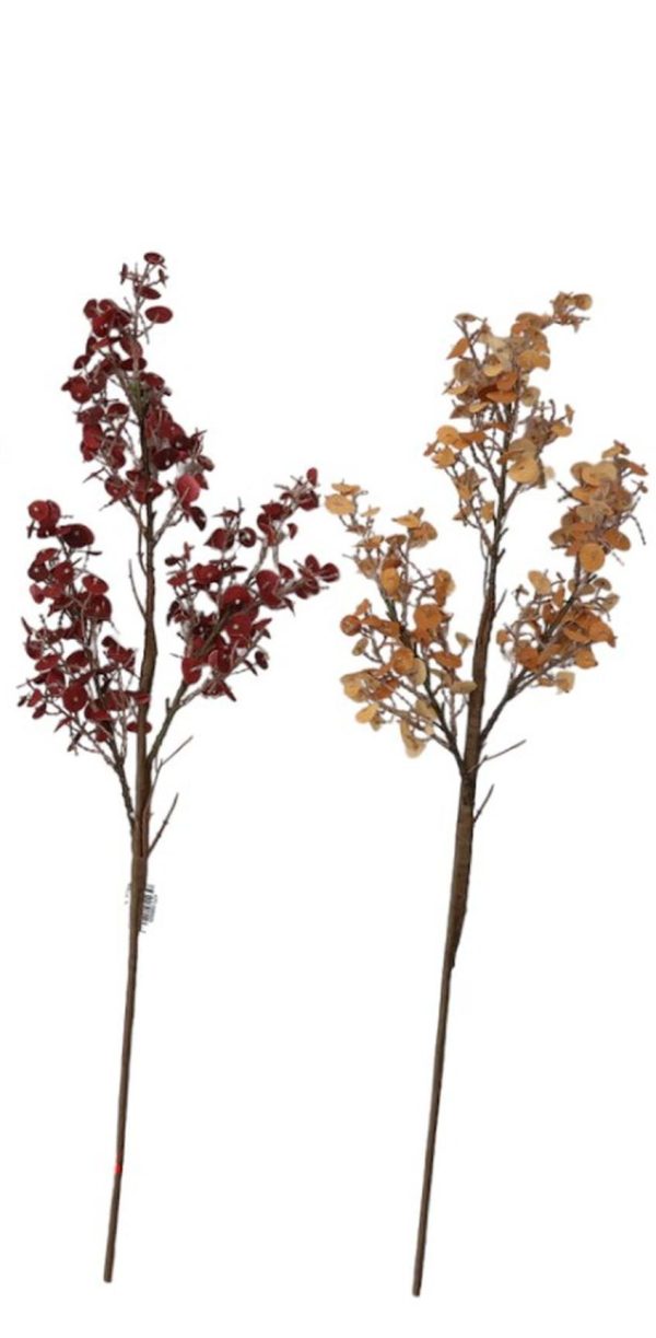 Planta Flor Arbusto de Otoño