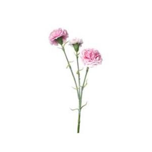 Flor Clavel Concepts 456-511892